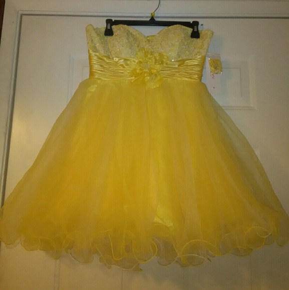 Tutu puffer dress - Picture 1 of 6